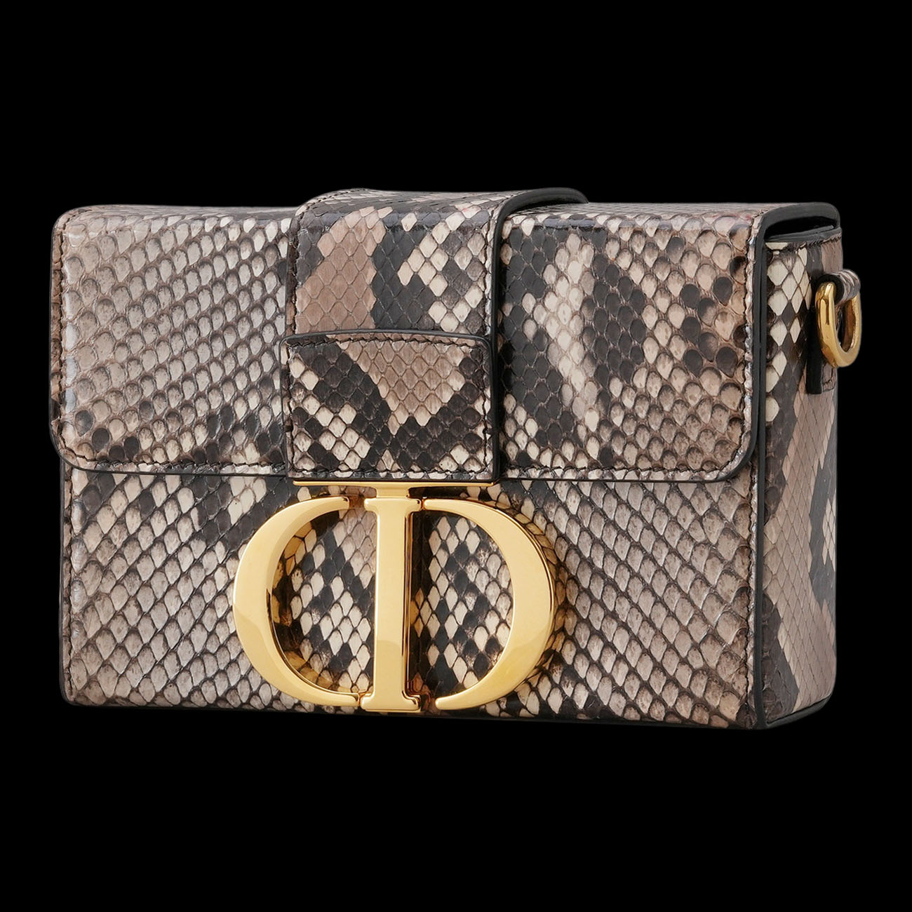 CHRISTIAN DIOR(USED)디올 파이톤 30 몽테인 박스백